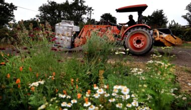California steps in after feds axed small farmer contracts with food banks