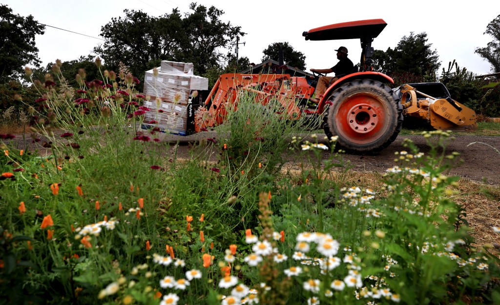 California steps in after feds axed small farmer contracts with food banks