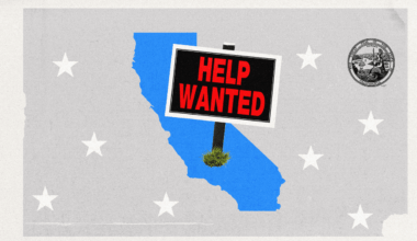 The Strange Emptiness of the Crowded Governor’s Race in California