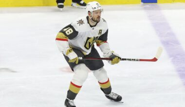Tomas Hertl's Gamble on Leaving the Sharks Is Paying Off - The Hockey Writers - Vegas Golden Knights