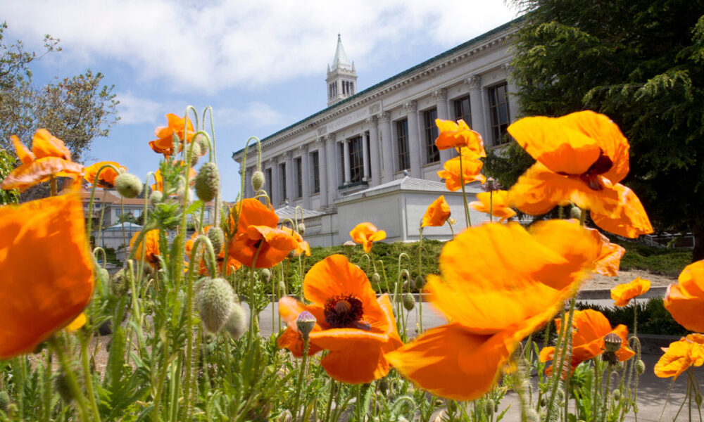 Photo by Keegan Houser/UC Berkeley.