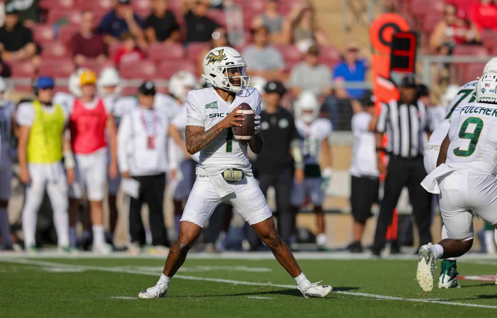 Sacramento State Hornets