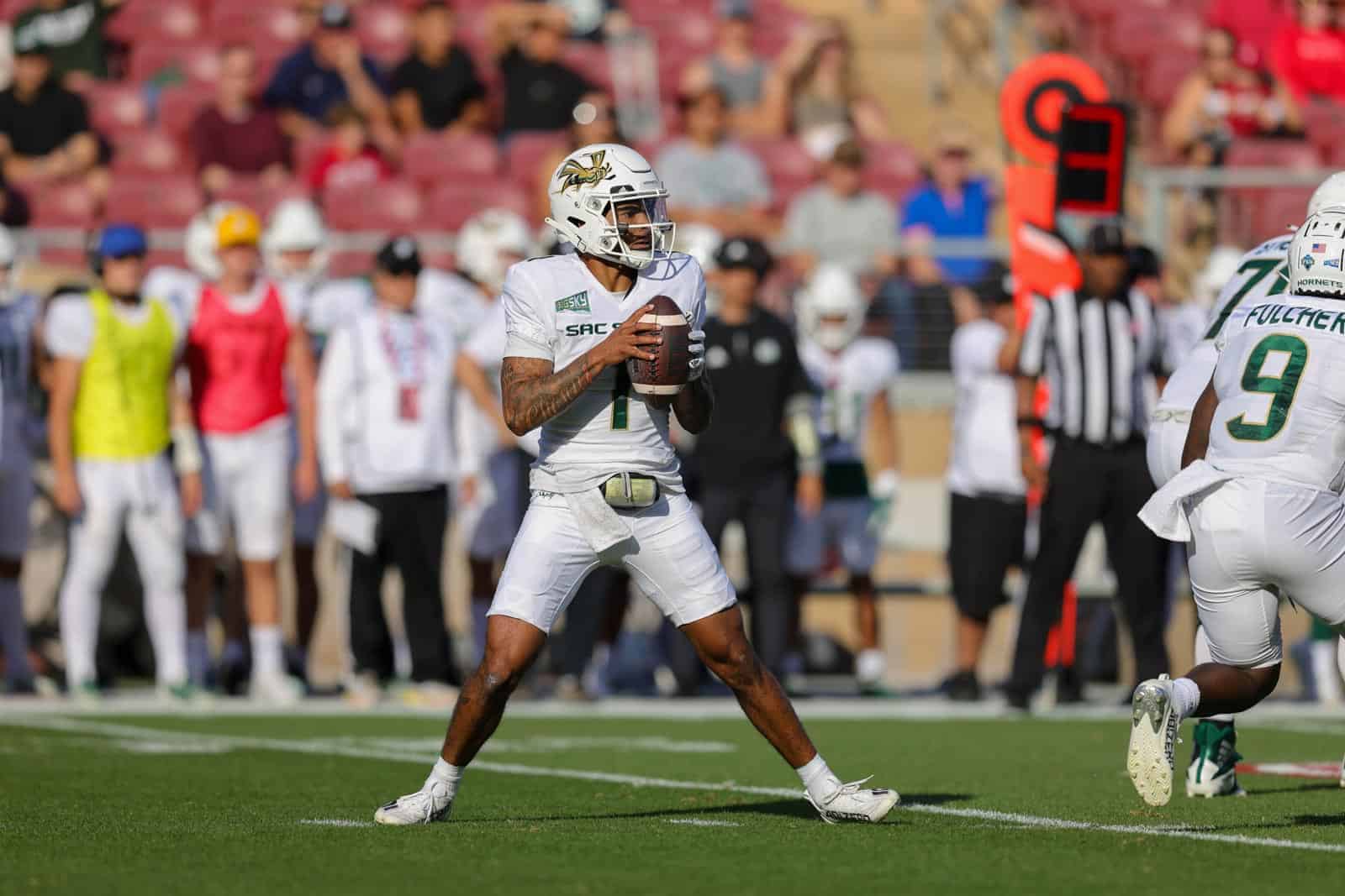 Sacramento State Hornets
