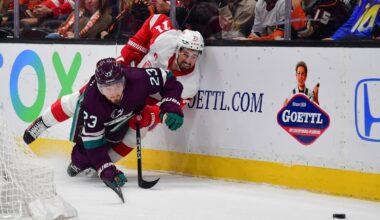 The Ducks Are The Perfect Dylan Larkin Trade Partner - Minnesota Wild