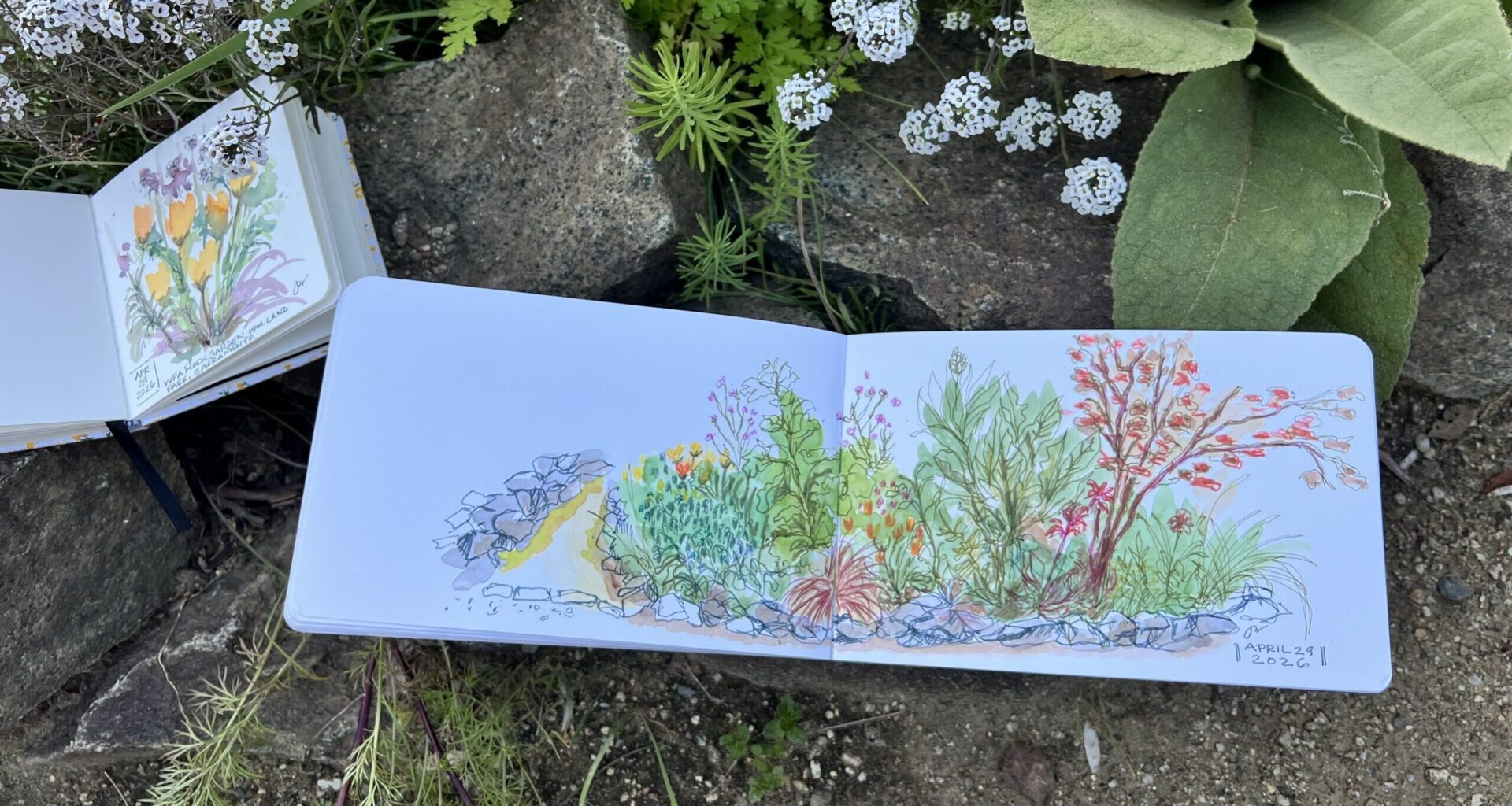 Urban Sketchers