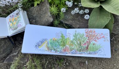 Urban Sketchers