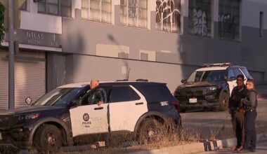 2 arrested, 2 others sought in downtown LA storage facility burglary – NBC Los Angeles