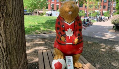 Toronto neighborhood offers beaver-themed World Cup scavenger hunt
