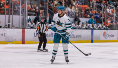 Morehouse on Why Sharks Chose Ravensbergen, Wang & Chernyshov (+)