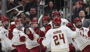San Jose Sharks put draft capital to use again, acquire rights to F Andre Gasseau from Boston Bruins
