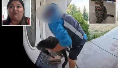Shock twist after California Amazon delivery driver caught taking family cat off their doorstep