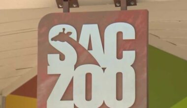 Sacramento Zoo proposes expansion, prompting community feedback
