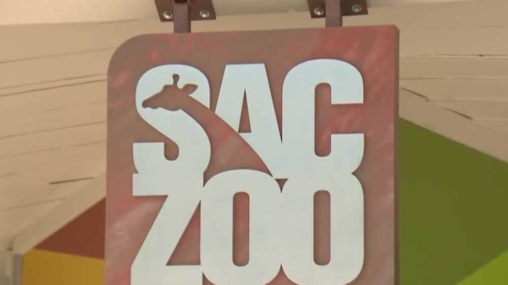 Sacramento Zoo proposes expansion, prompting community feedback