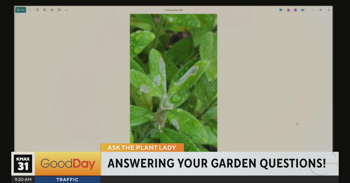 Marlene the Plant Lady 9am pt 1