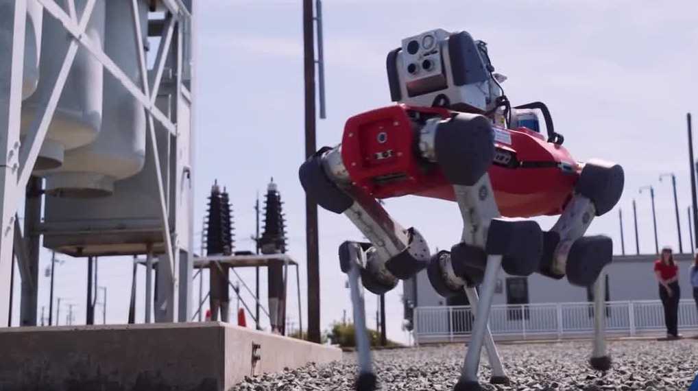 Meet SMUD's new robot dog Astro