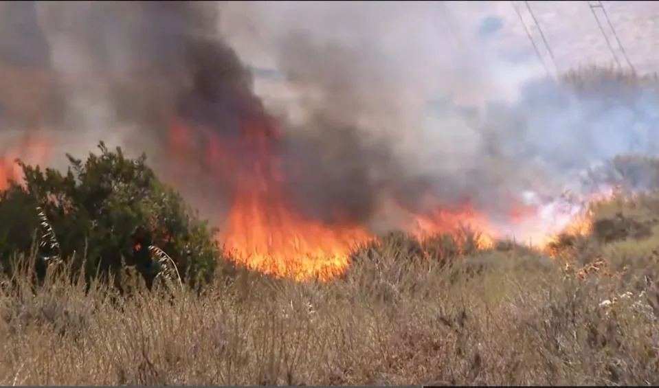 The blaze broke out around 9:30 a.m. near the split between Interstates 5 and 805 and quickly spread at a moderate rate. CBS 8