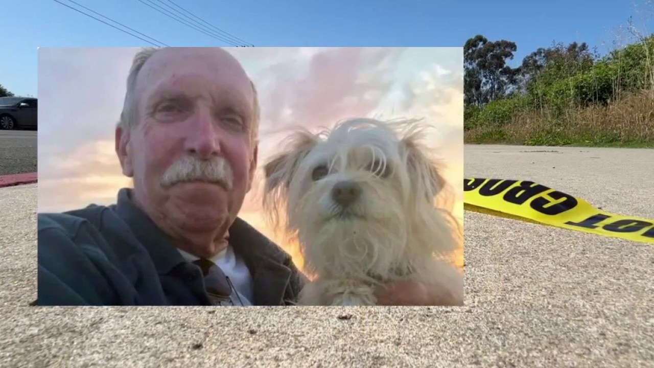 PREVIOUS COVERAGE: Veteran dies after e-motorcycle hit-and-run crash