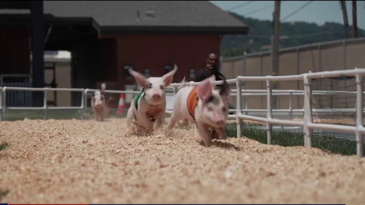 Alameda County Fair opens Juneteenth