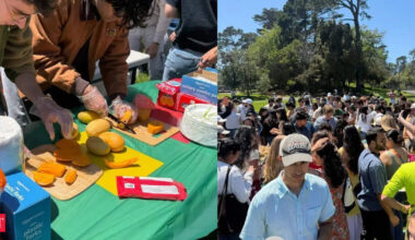 'Best mangoes I've had': Inside the San Francisco party serving Alphonso and Kesar mangoes, now a viral sensation in US