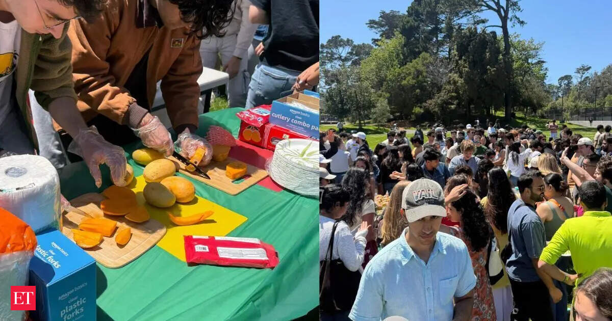 'Best mangoes I've had': Inside the San Francisco party serving Alphonso and Kesar mangoes, now a viral sensation in US