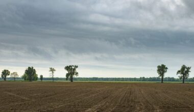 The unbearable flatness of being