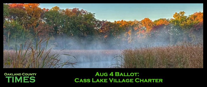 Aug 4 Ballot: Cass Lake Village Charter