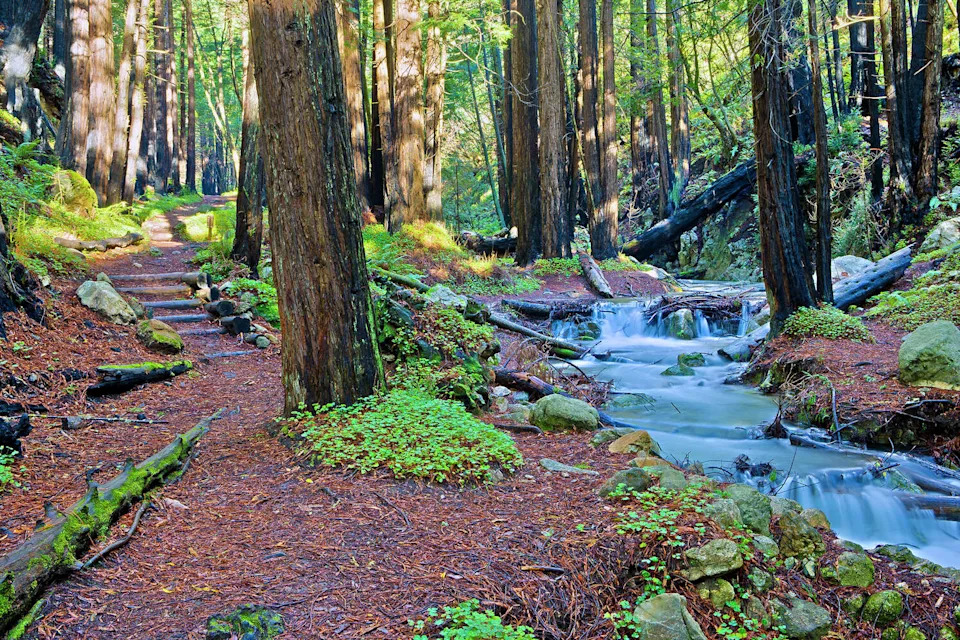 A view of Limekiln Creek in Big Sur, Calif. (Doug Meek/Getty Images)