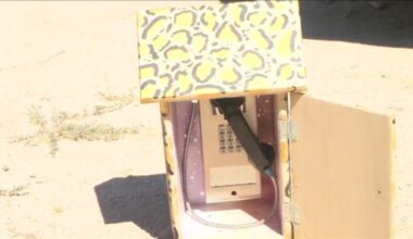 A decade of grief for a California City mother and inside her fight for change