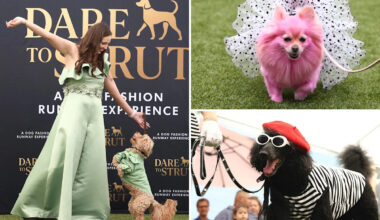 Adorable doggy fashion show ‘Dare to Strut’ takes Los Angeles by storm