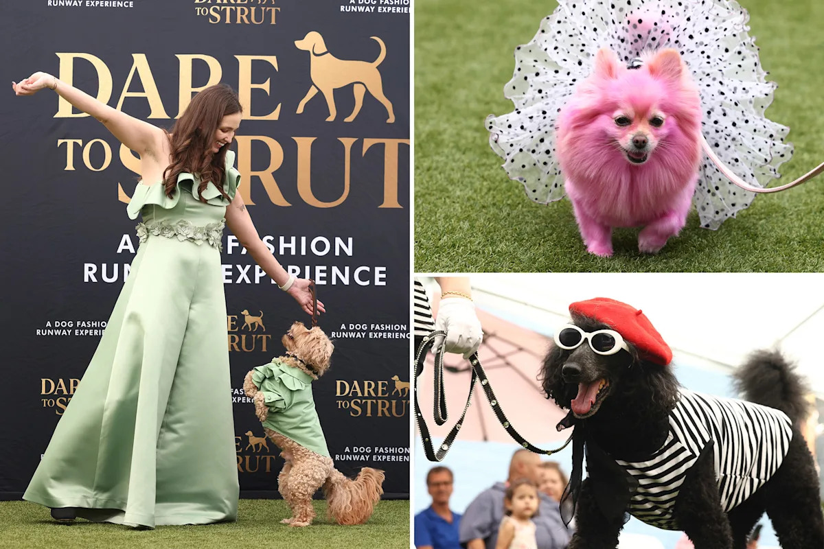 Adorable doggy fashion show ‘Dare to Strut’ takes Los Angeles by storm