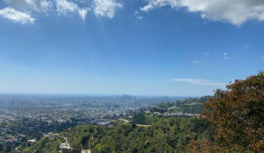Residents Turn San Vicente Boulevard Into Los Angeles Park