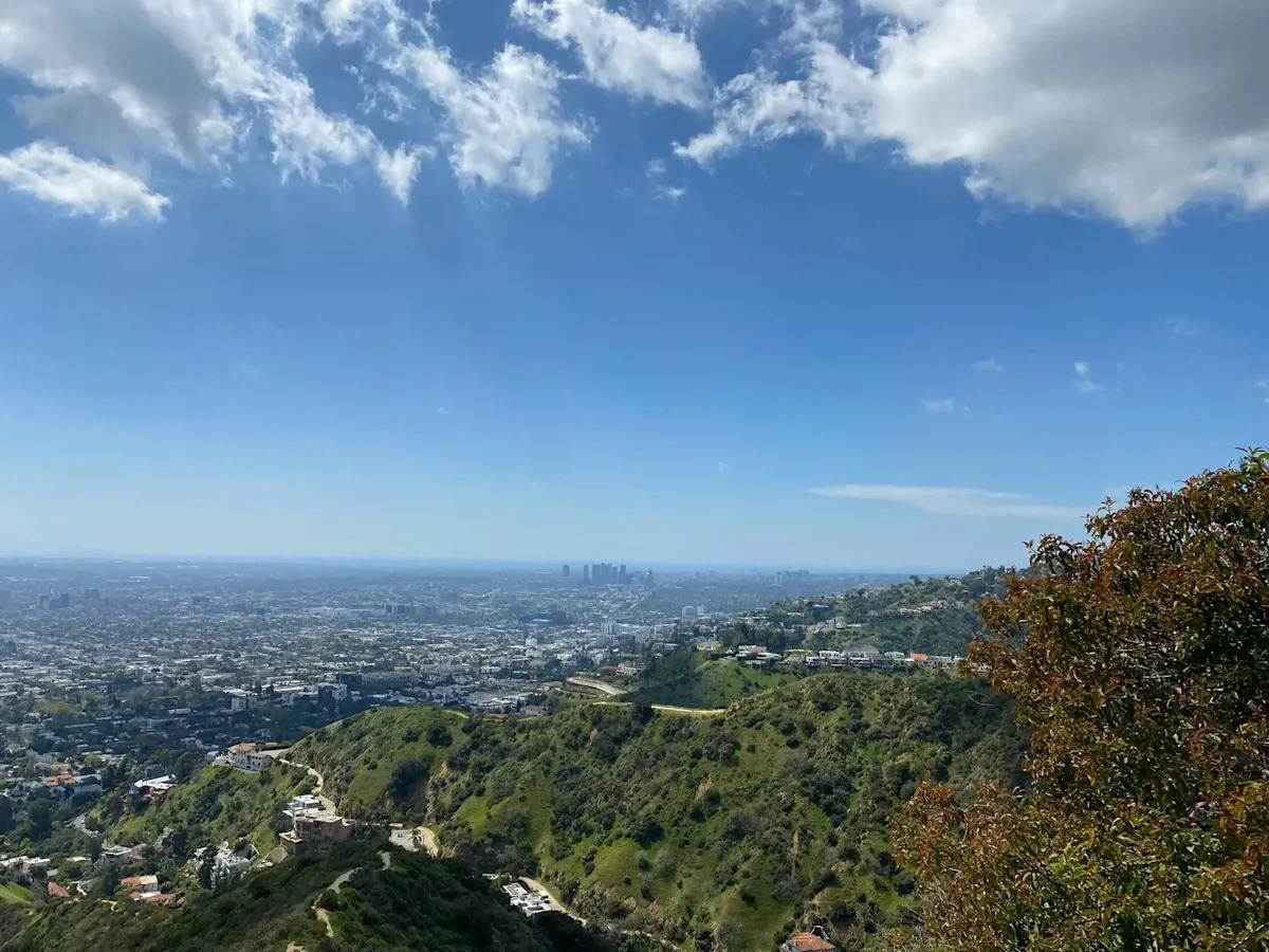 Residents Turn San Vicente Boulevard Into Los Angeles Park
