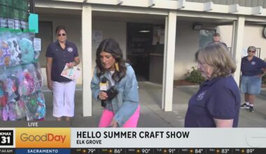 Hello Summer Craft Show - Good Day Sacramento