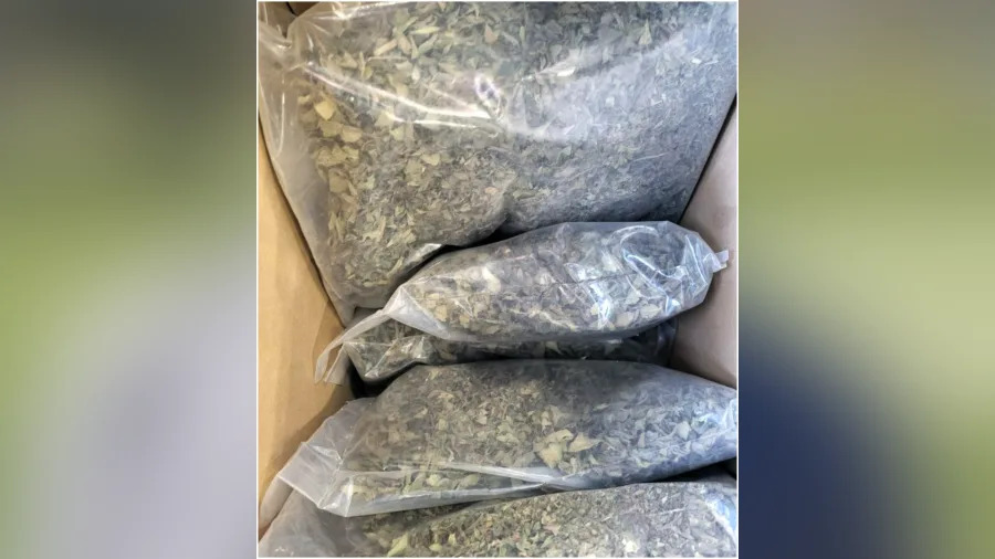 Also known as Abyssinian tea and African salad, khat is typically grown in East Africa and the Arabian Peninsula. The drug can also be boiled to create a stimulant tea.