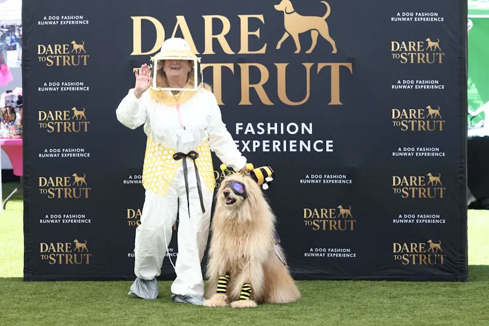 Gail in a beekeeper suit with Honey the therapy dog in a bumblebee costume. Jonathan Alcorn for CA Post