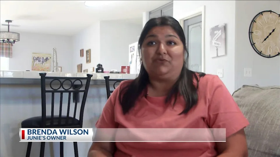 But Brenda Wilson, who says she has had Junie for five years, continues to dispute Gonzalez’s claims. KGET News