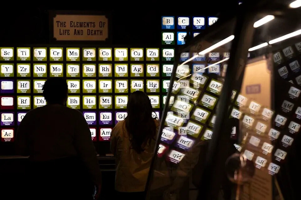 Visitors look at an interactive periodic table in the “Death by Natural Causes” featured exhibit on the second floor of The Paperworks in Old Sacramento on Friday. The exhibit explores a wide variety of dangers in everyday life, from animals to poisonous plants to urban legends.