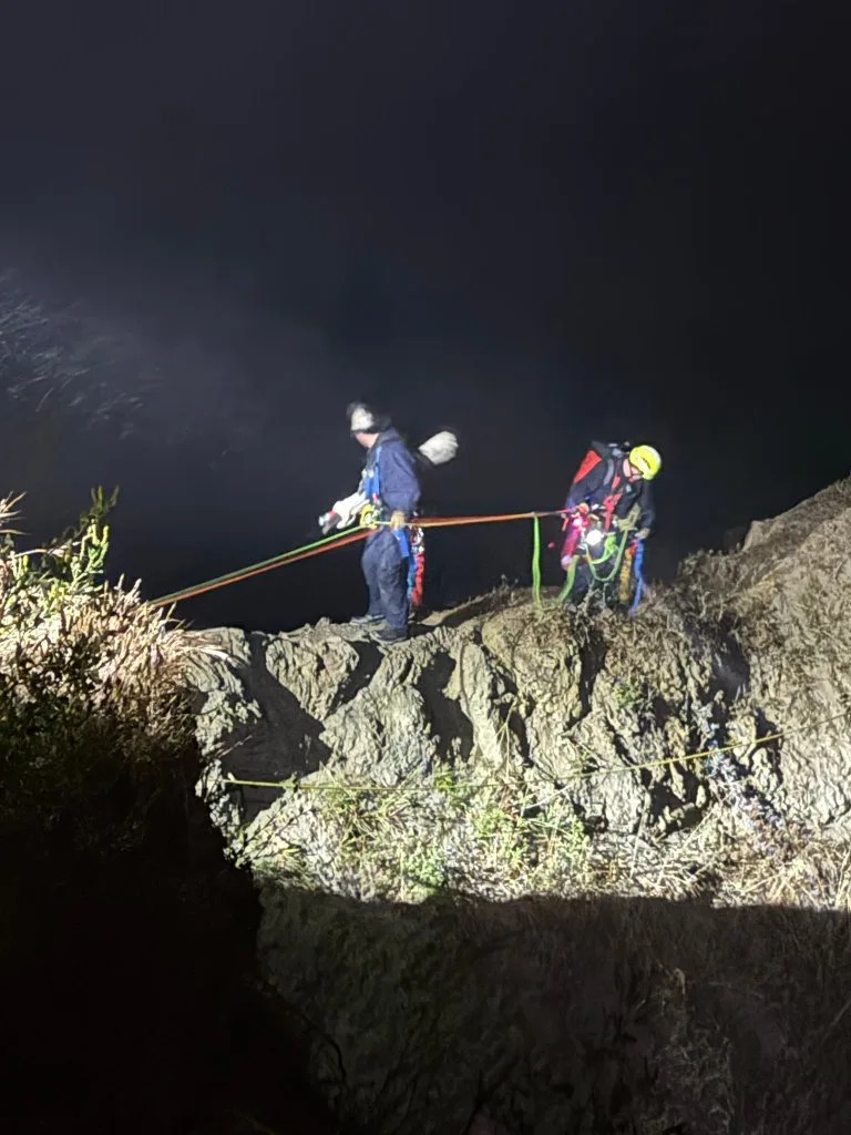A hiker trapped after falling from a steep cliffside in Northern California has been rescued. X/@SFFDPIO