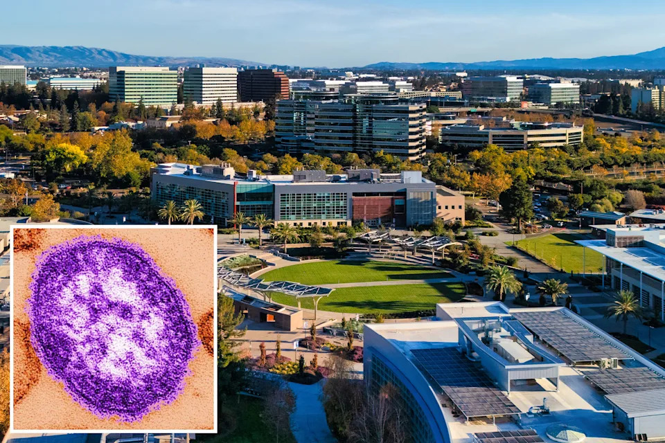 Collage of an aerial view of a business park and an electron micrograph of a monkeypox virus.