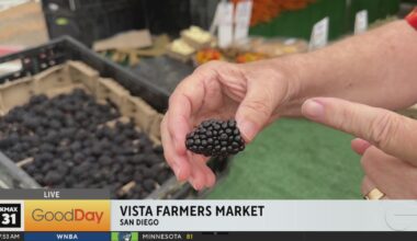 Vista Farmers Market 7am - Good Day Sacramento
