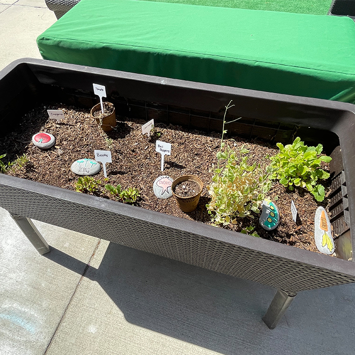 outddor planter box with some small vegetation