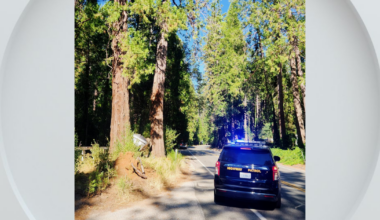 Cedar Ridge man dies after crashing into tree east of Grass Valley
