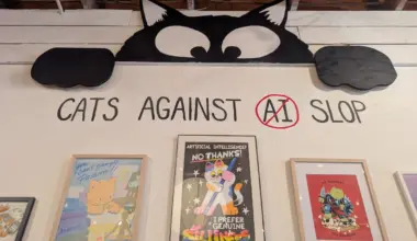 A Long Beach shop is throwing a cat zine festival. It's also trying to fix L.A.'s stray cat problem • Eat. See. Do.