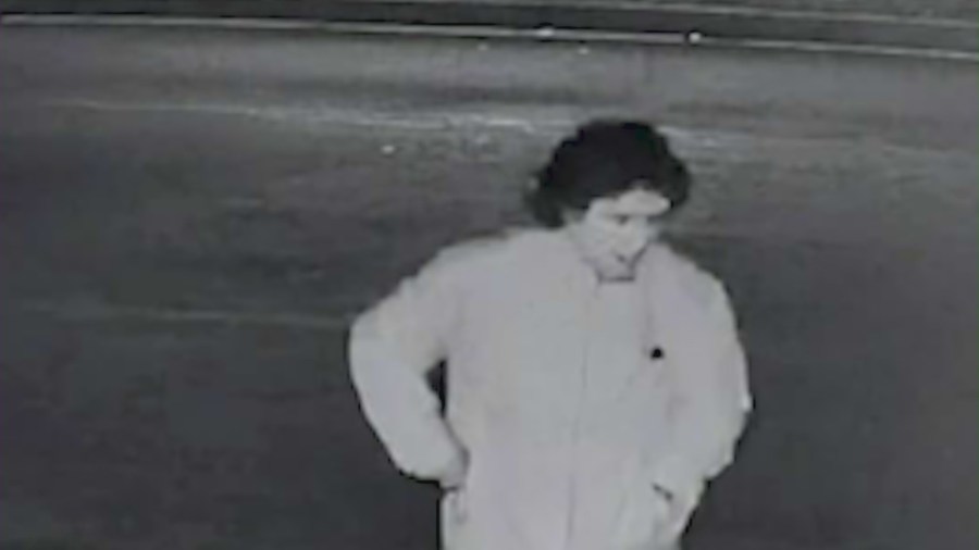 Police search for suspect in random Long Beach stabbing that injured woman