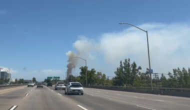 What's that smoke? Sacramento County fire officials execute controlled burns near American River
