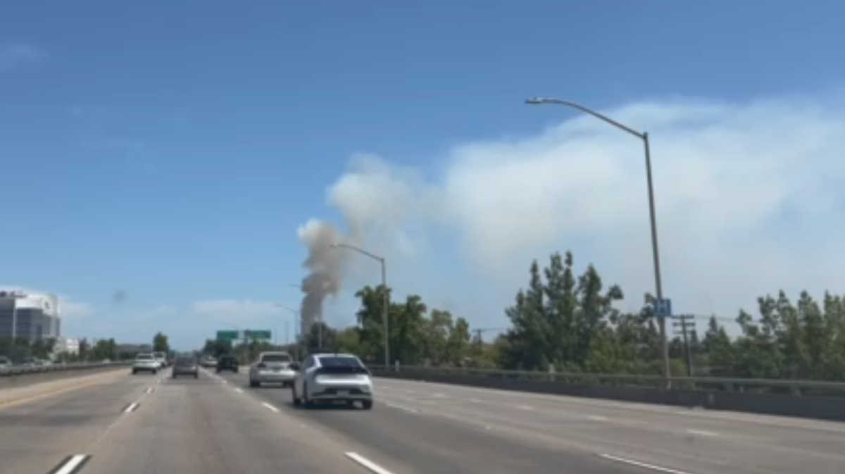What's that smoke? Sacramento County fire officials execute controlled burns near American River