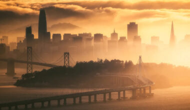 The U.S. Government Secretly Tested Biological Weapons. The Citizens of San Francisco Paid the Price.