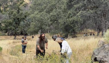Indigenous land reclaim, shelter spending. Sacramento top stories for June 11