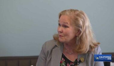 Leader of California Assembly elections committee defends state's process