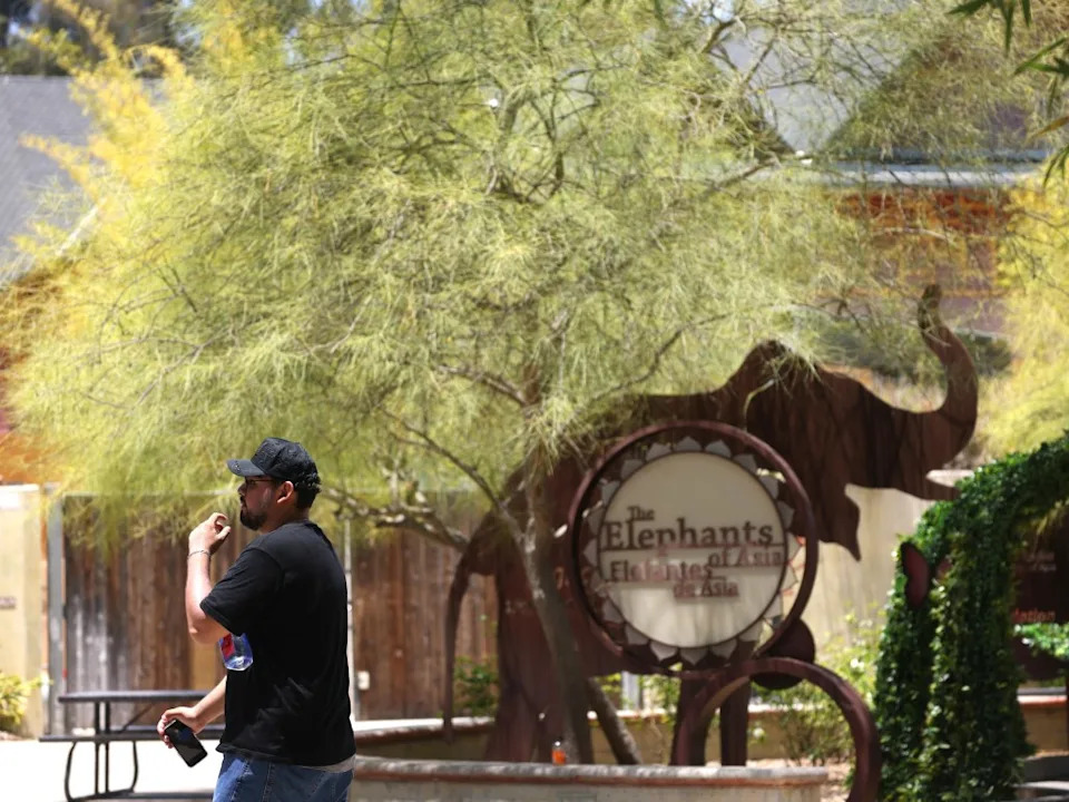 The zoo has struggled to maintain its facilities while the city faces ongoing financial pressures. Los Angeles Times via Getty Images
